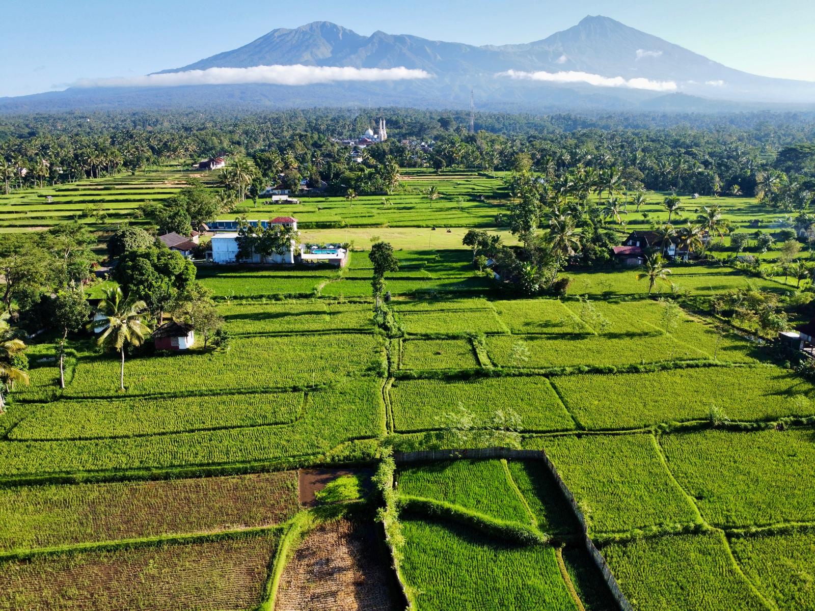 Top 5 Reasons to Visit Tetebatu